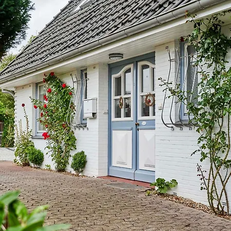 Apartment Dünengras