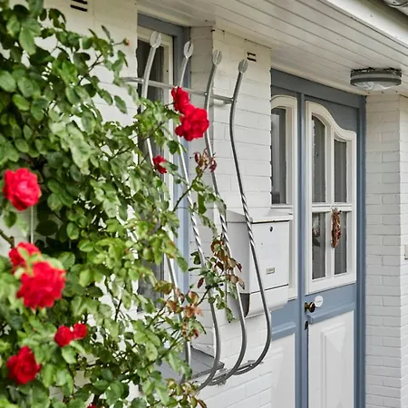 Dünengras * Cuxhaven